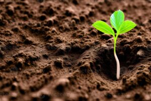 grow green peace